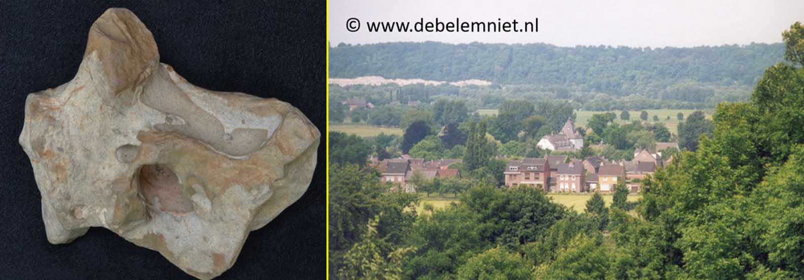 Maasdal Rijckholt en vuursteen zwerfsteen Maas