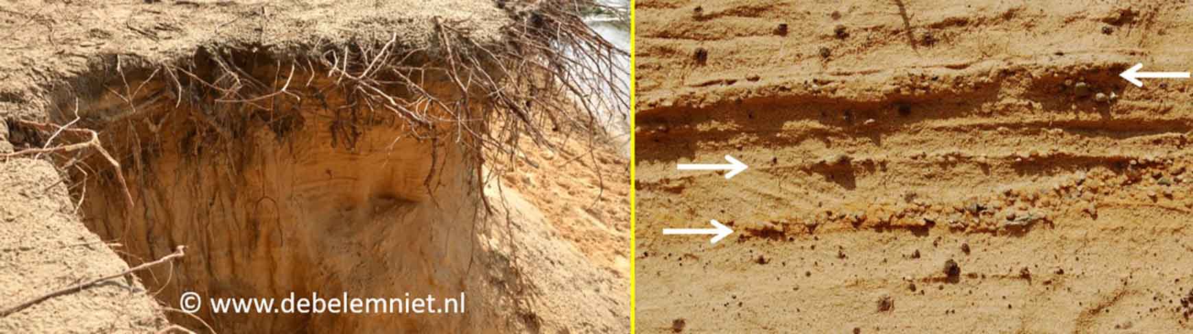 grindsnoertjes steilwandjes Dinkel