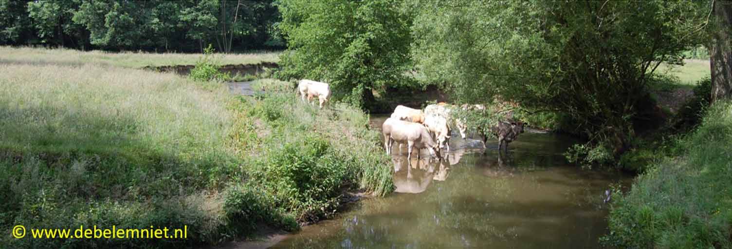 rivier Geul van bron tot monding