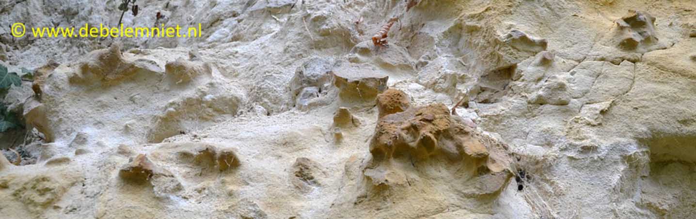 vuurstenen in kalksteen Formatie van Maastricht
