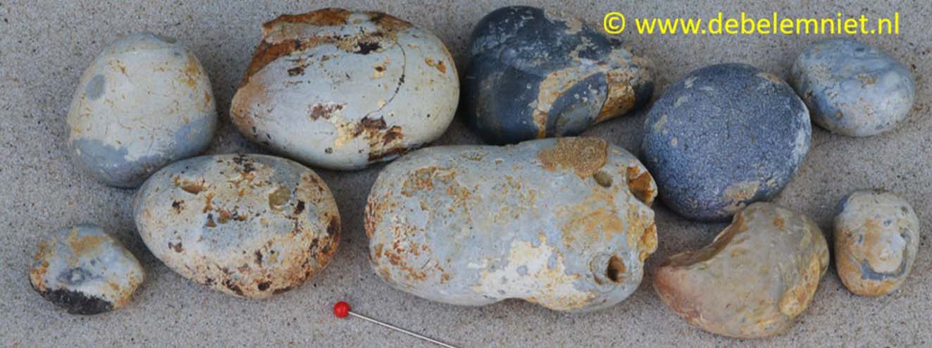 Maaseitjes - gerolde vuurstenen Oligoceen Geul Ceritiumklei