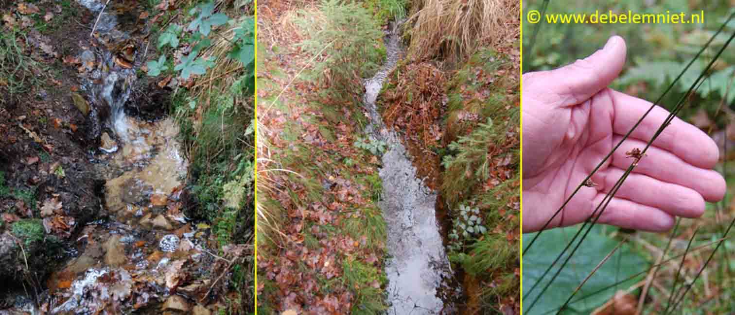 brongebied van de Geul