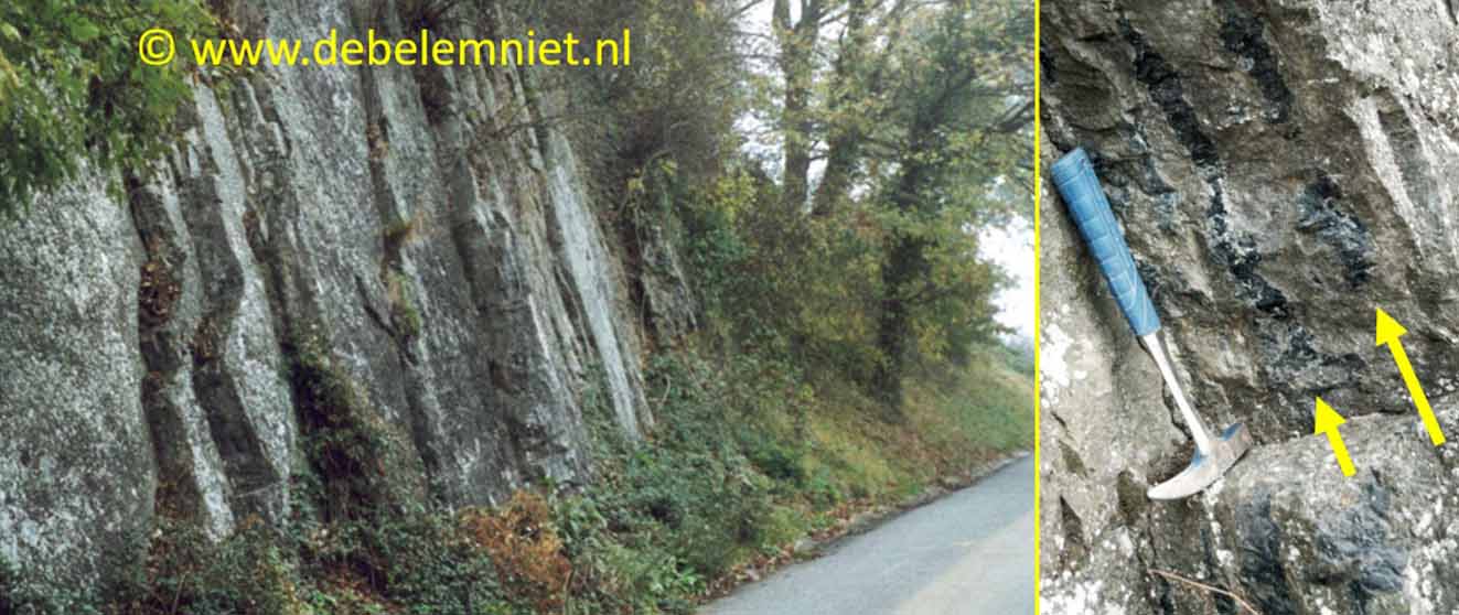 Chert (Hornstein) Karbon Rivage Belgien