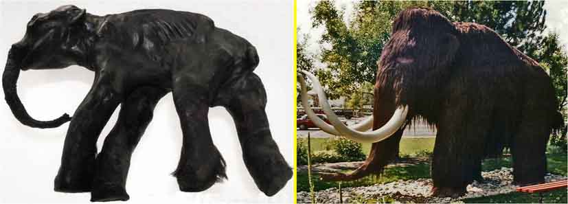 Mammut Dima und Rekonstruktion