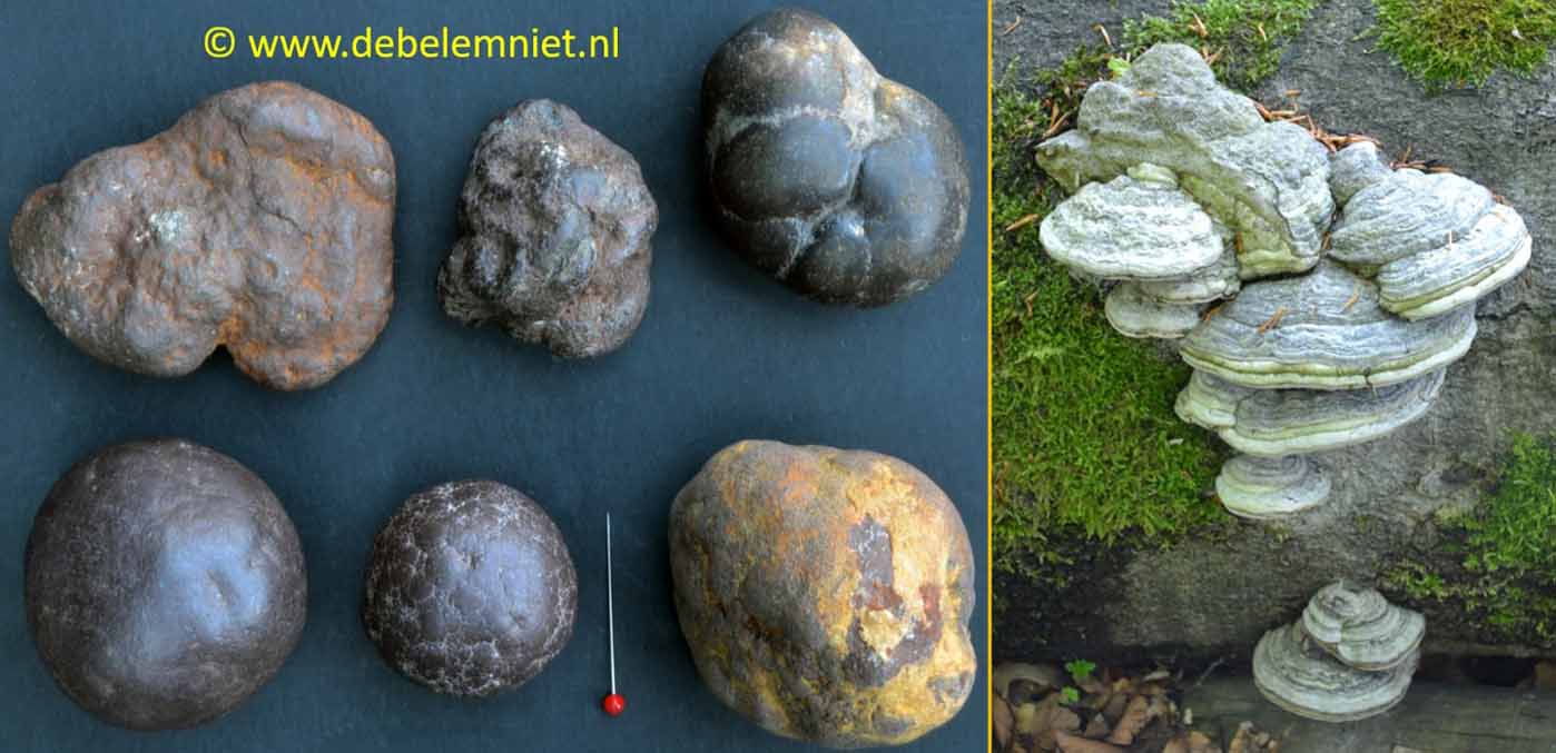 vuur maken vuursteen markasiet tondelzwam
