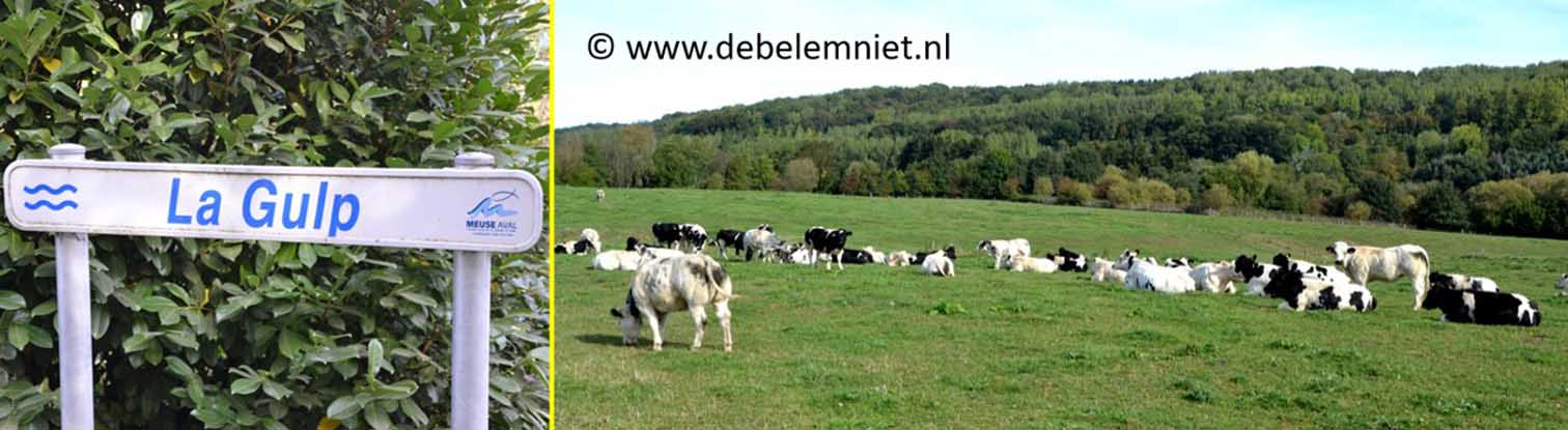 Gulp Rue de la Station