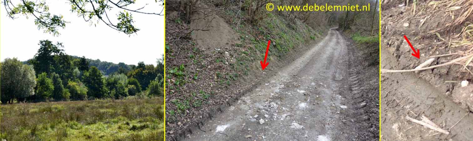 Gulp Pesaken belemnieten