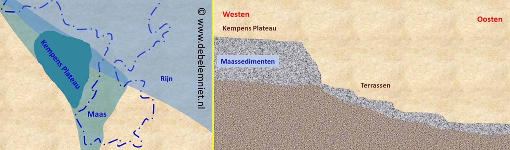 oermaas België - Belgisch Limburg