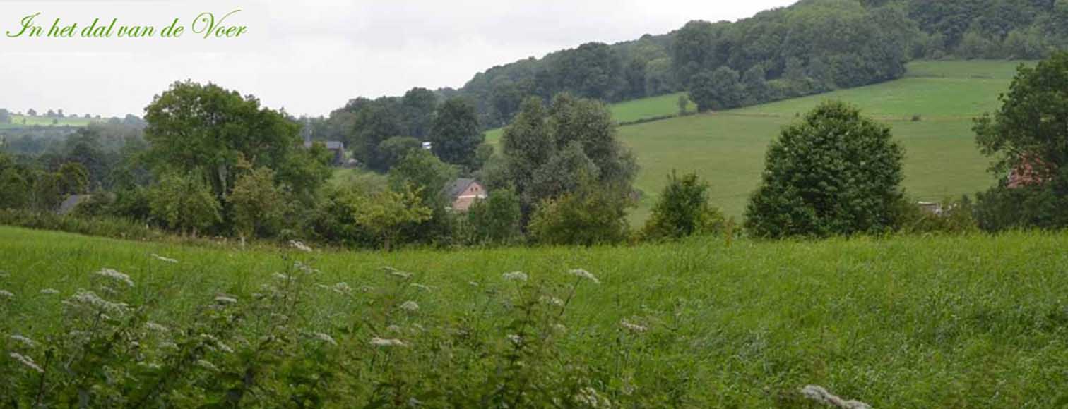 dal van de Voer