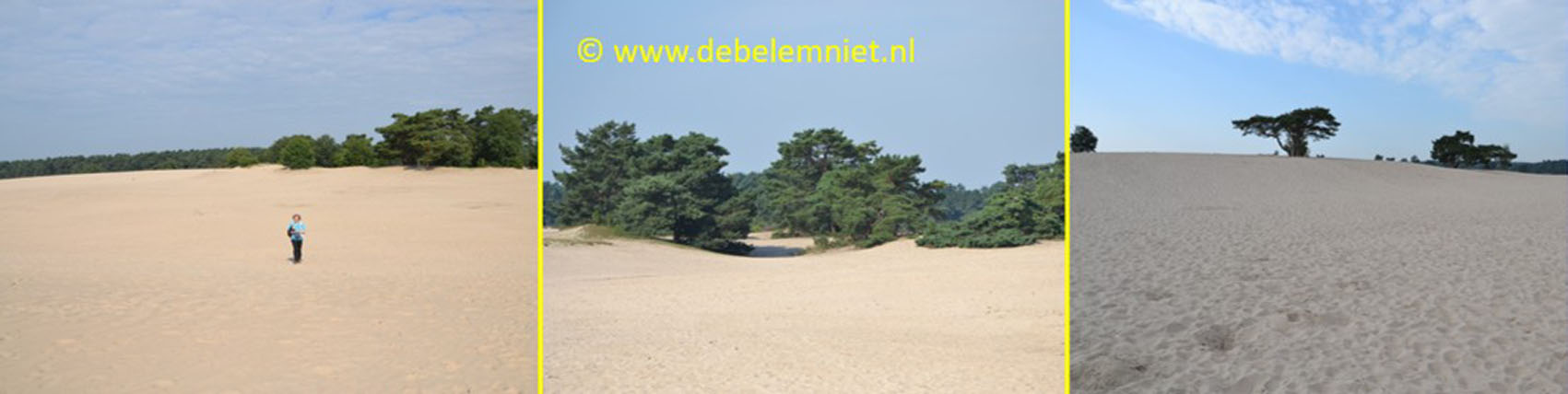 zandverstuiving Lange Duinen Soest