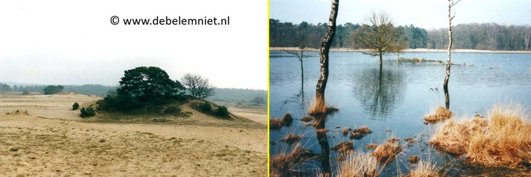 Kootwijker Zand en Leersumse Veld
