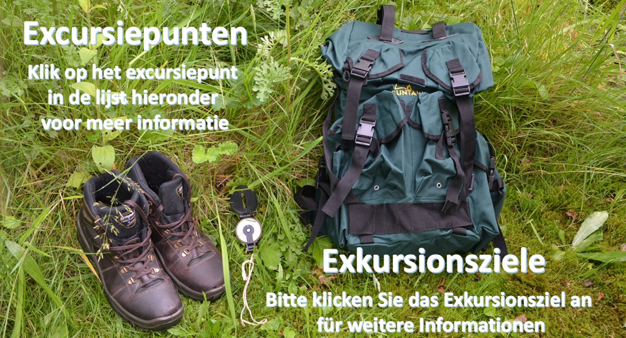 excursiepunten geologie De Belemniet