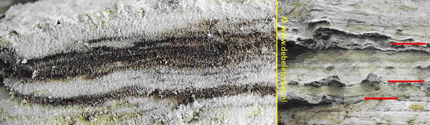 Formatie van Aken Boven Krijt