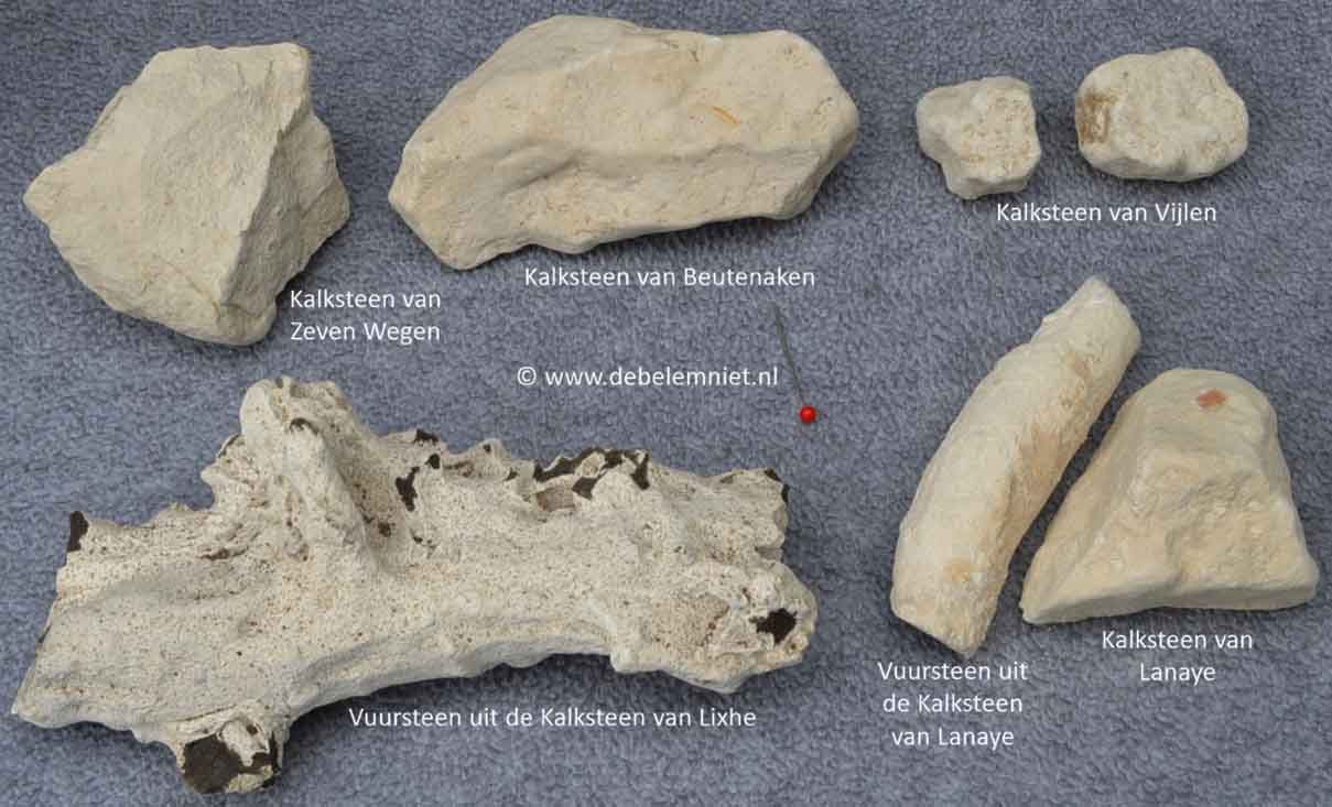 soorten kalksteen Formatie van Gulpen
