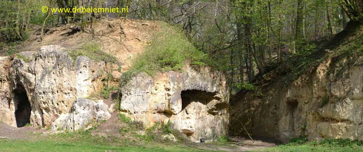 Groeve Trichterberg - Kalksteen van Gronsveld - Formatie van Maastricht