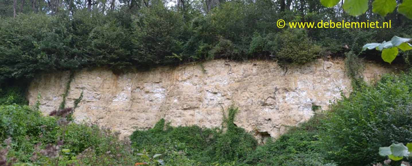 Kunrader Kalksteen - Kunrader Facies Formatie van Maastricht