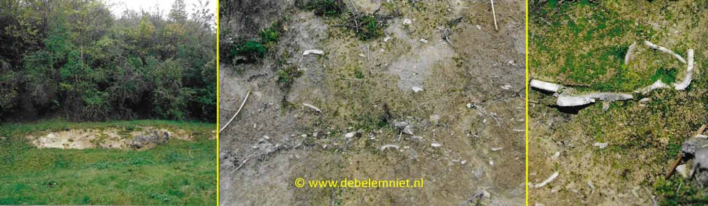 Fossielengruislaag van Kanne Formatie van Maastricht