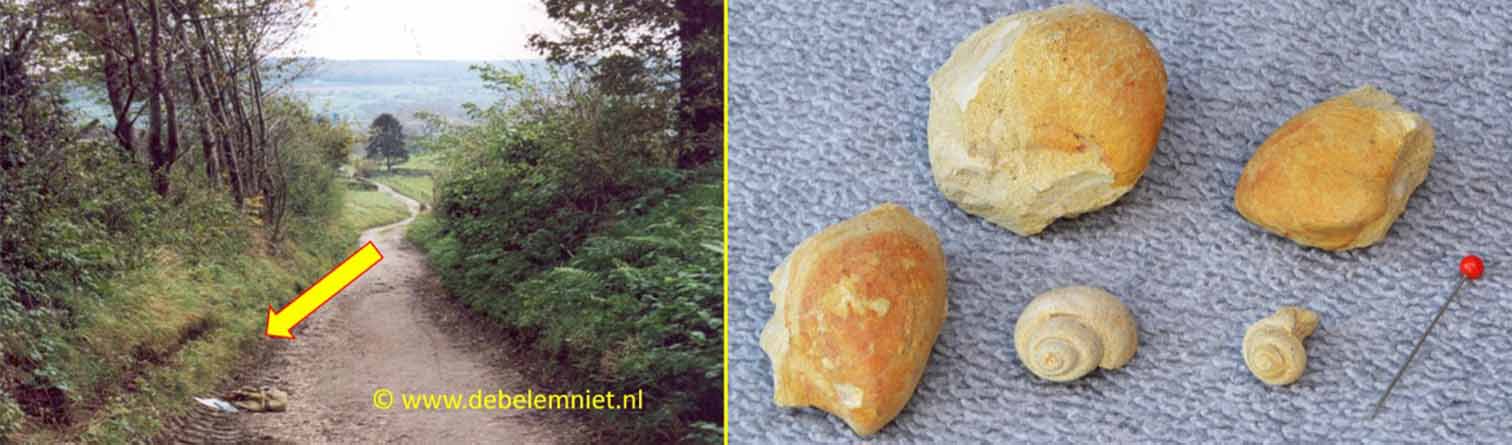 Formatie van Vaals Boven Krijt