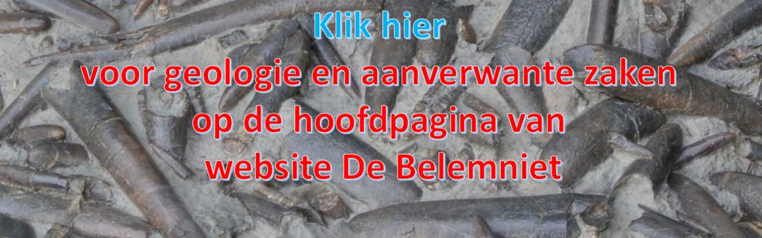 link naar belemniet
