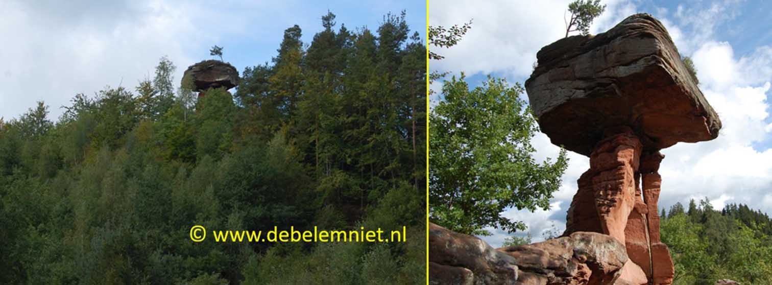 Teufelstisch Hinterweidenthal - paddenstoelrotsen