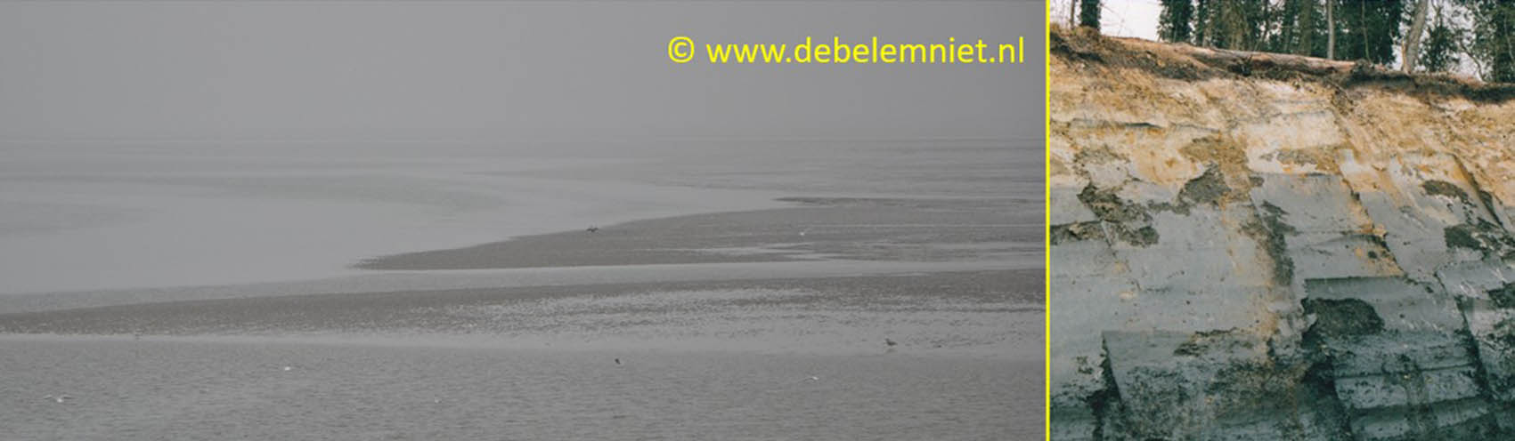 Waddenzee afzetting (zee)klei