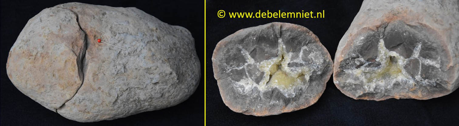 septarie concretie klei